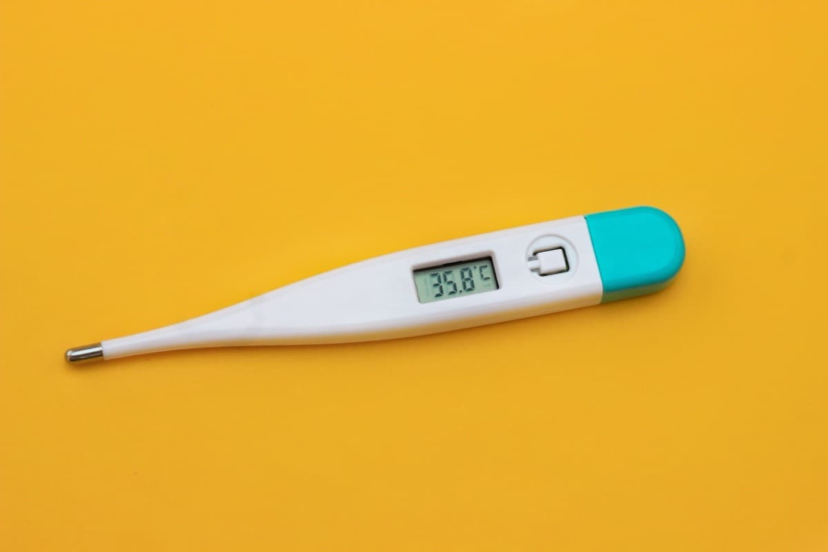 MIT researchers identify mechanism behind temporary autism symptom relief during fever