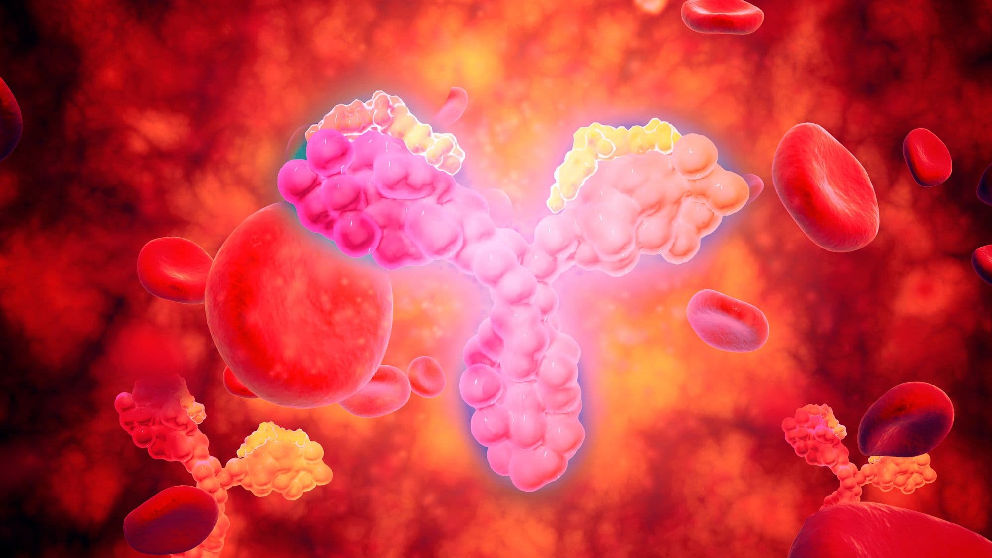 Study identifies autoantibodies mechanism in inflammatory bowel disease