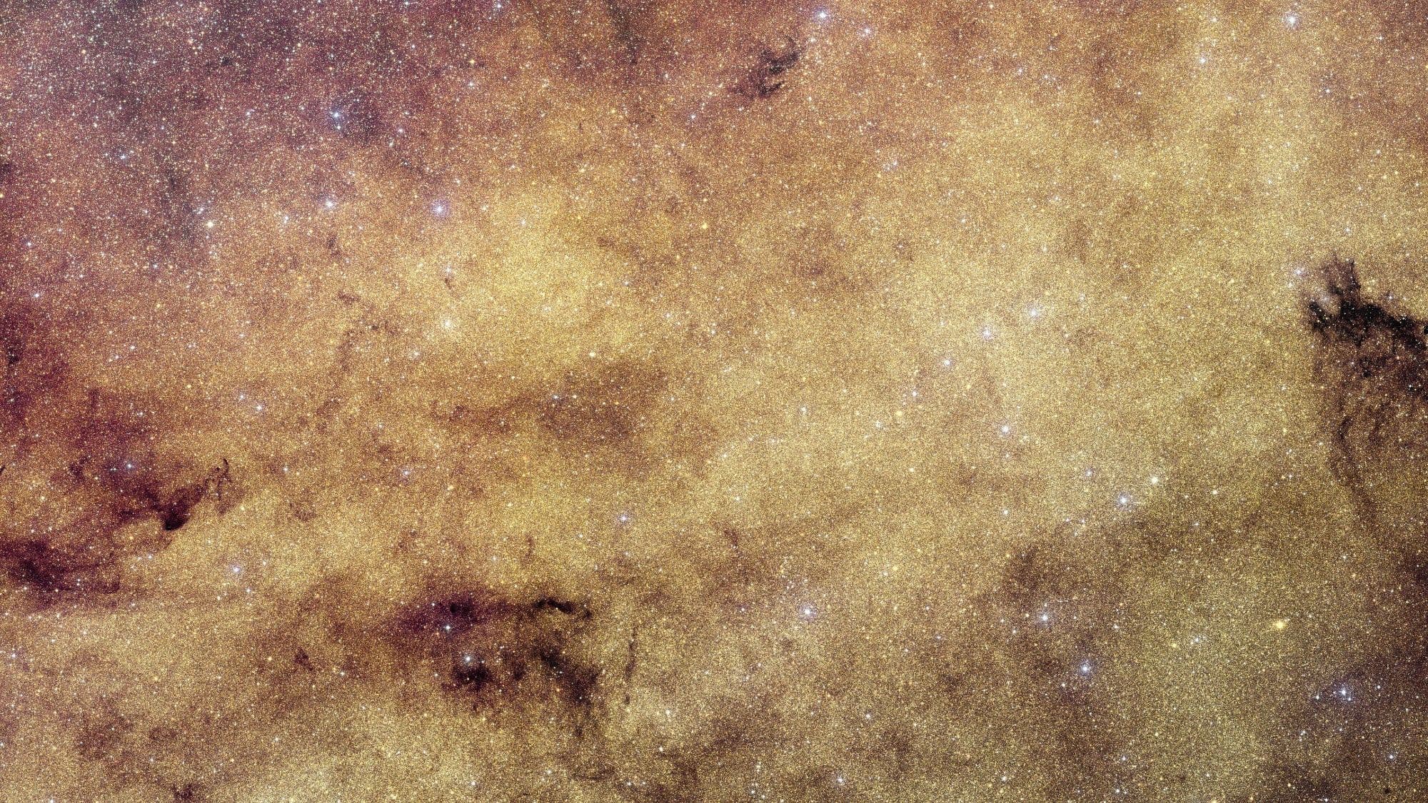 Euclid captures largest Milky Way image with 60 million stars and 51 exoplanet systems