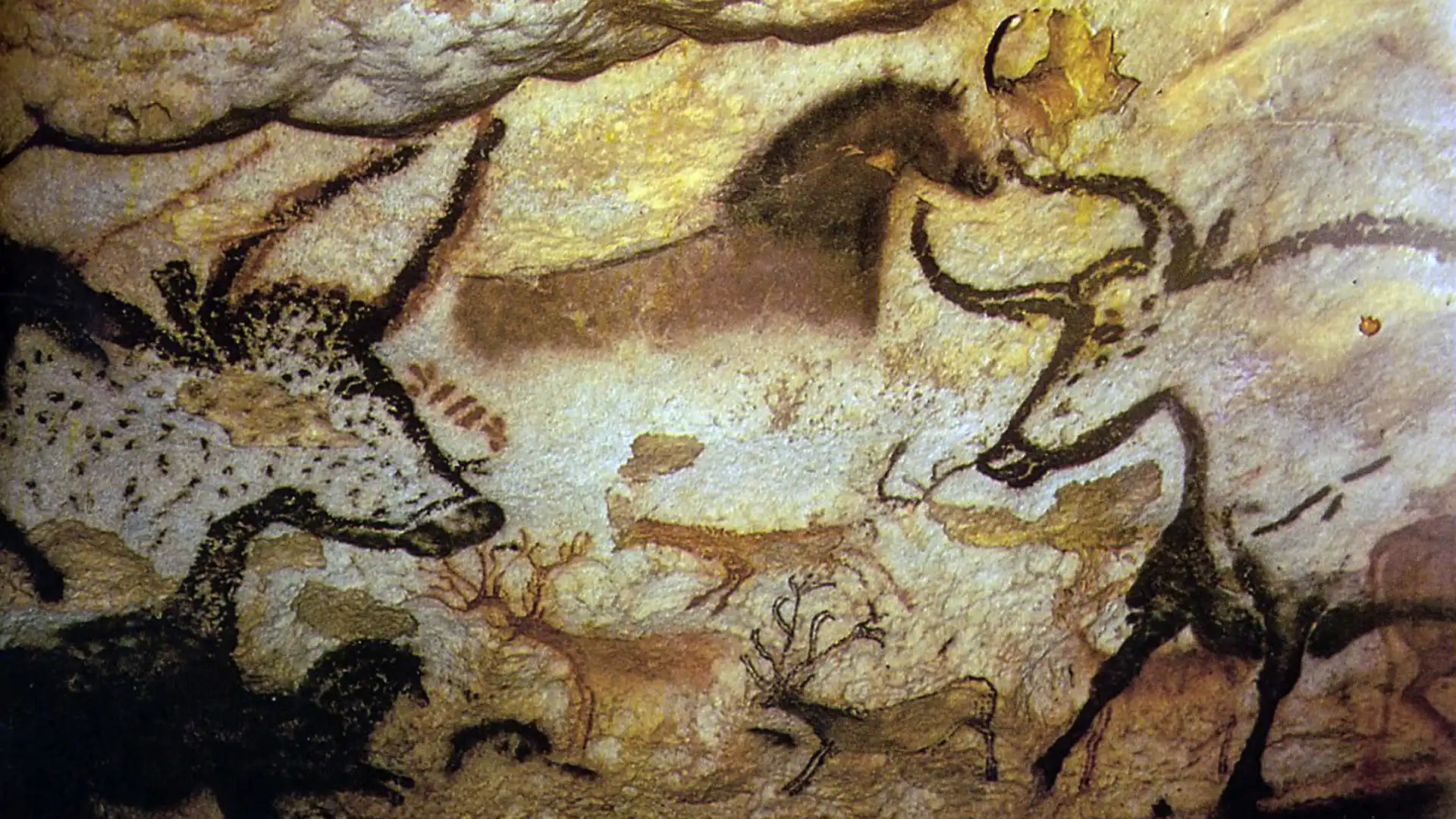 Ancient human DNA recovered from cave walls in first study of prehistoric art