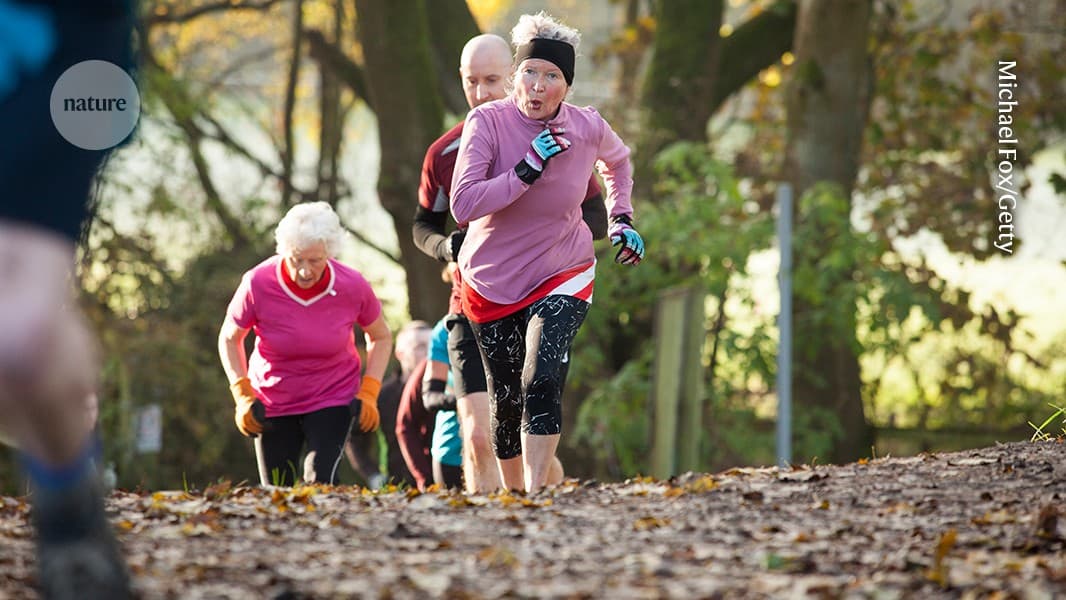 Large studies identify diet, exercise, and socializing as dementia protective factors