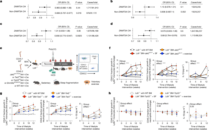 Sleep and exercise shown to slow mutations linked to heart disease