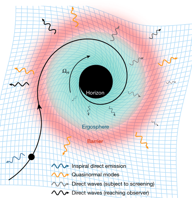 Black hole merger observation reveals horizon signatures, advancing gravitational wave science