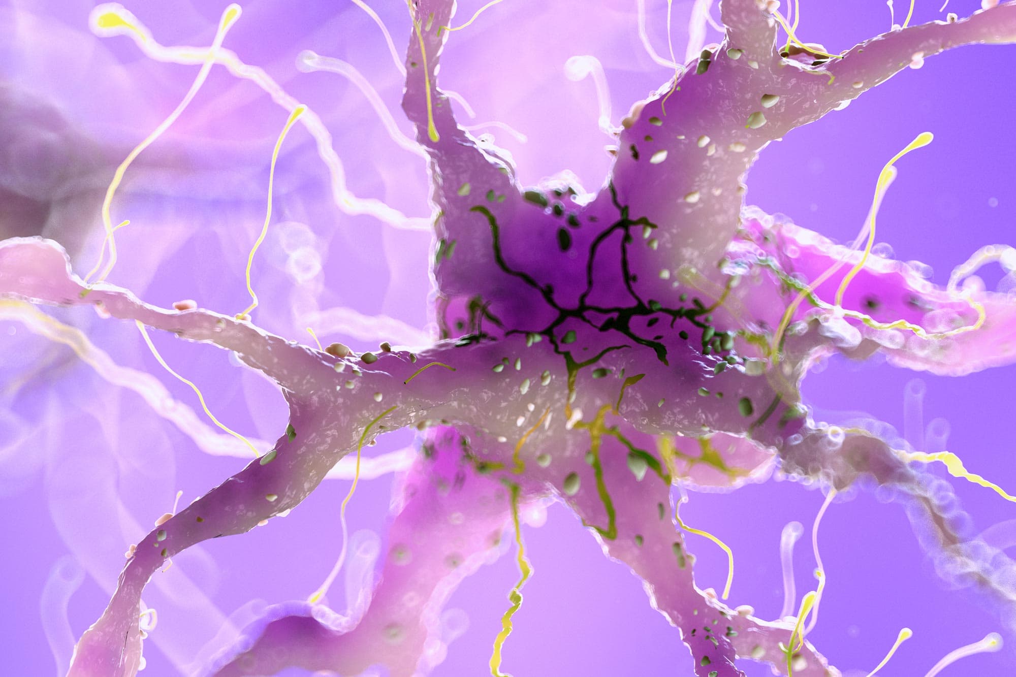 Cambridge researchers reverse nerve damage mechanism in human tissue models