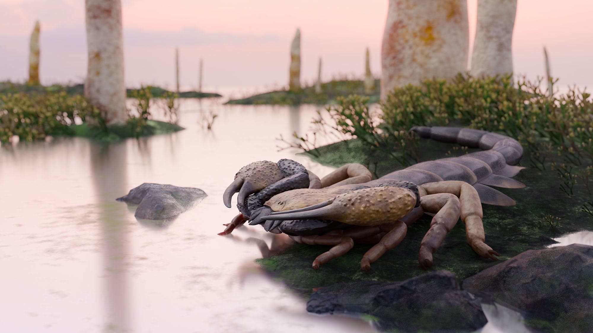 Giant Devonian scorpion reveals new insights into ancient ecology and evolution