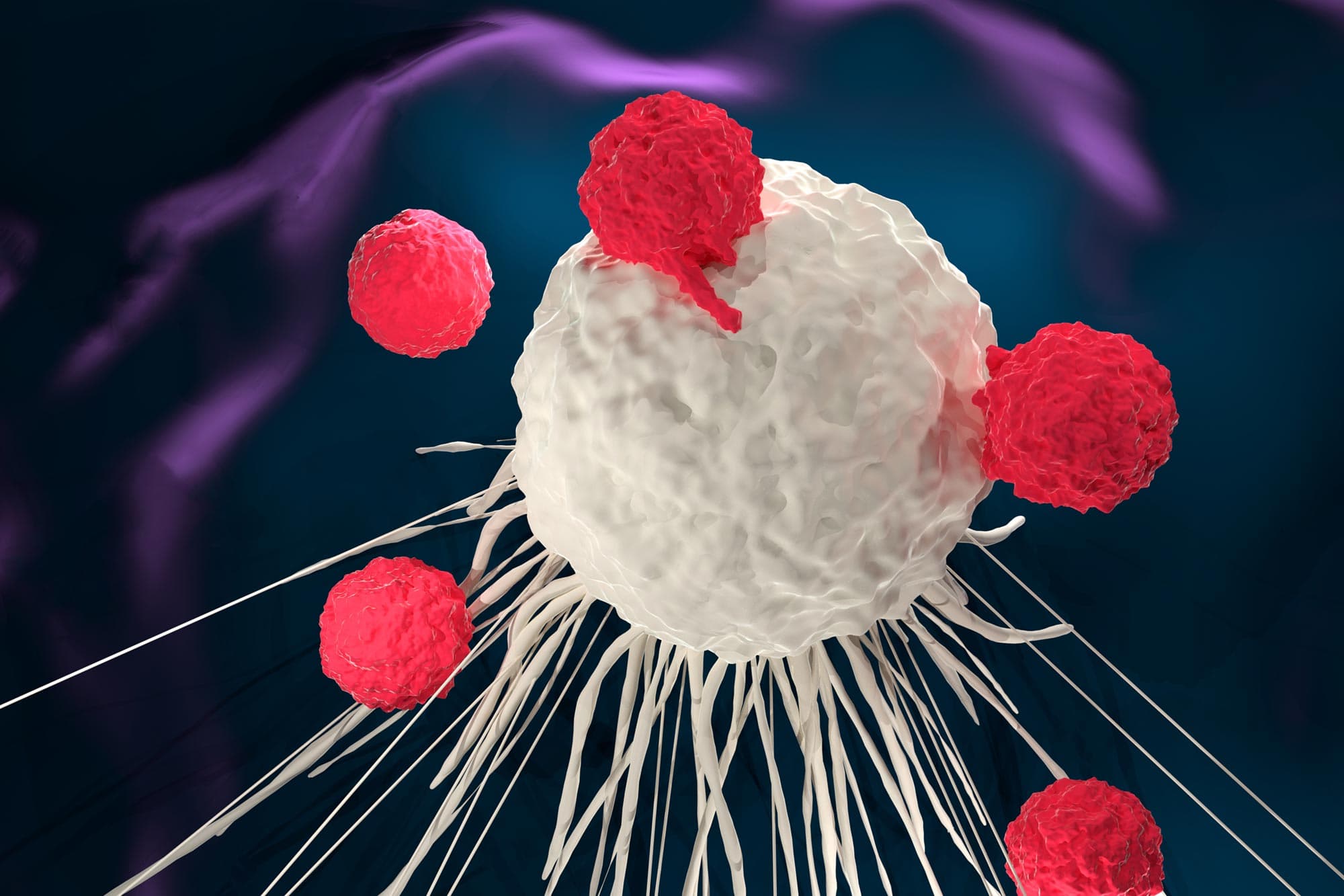 UCLA researchers identify E2F3 vulnerability in deadly small cell cancers