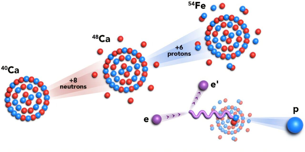 Nuclear physicists discover new pairing rule in atomic nuclei