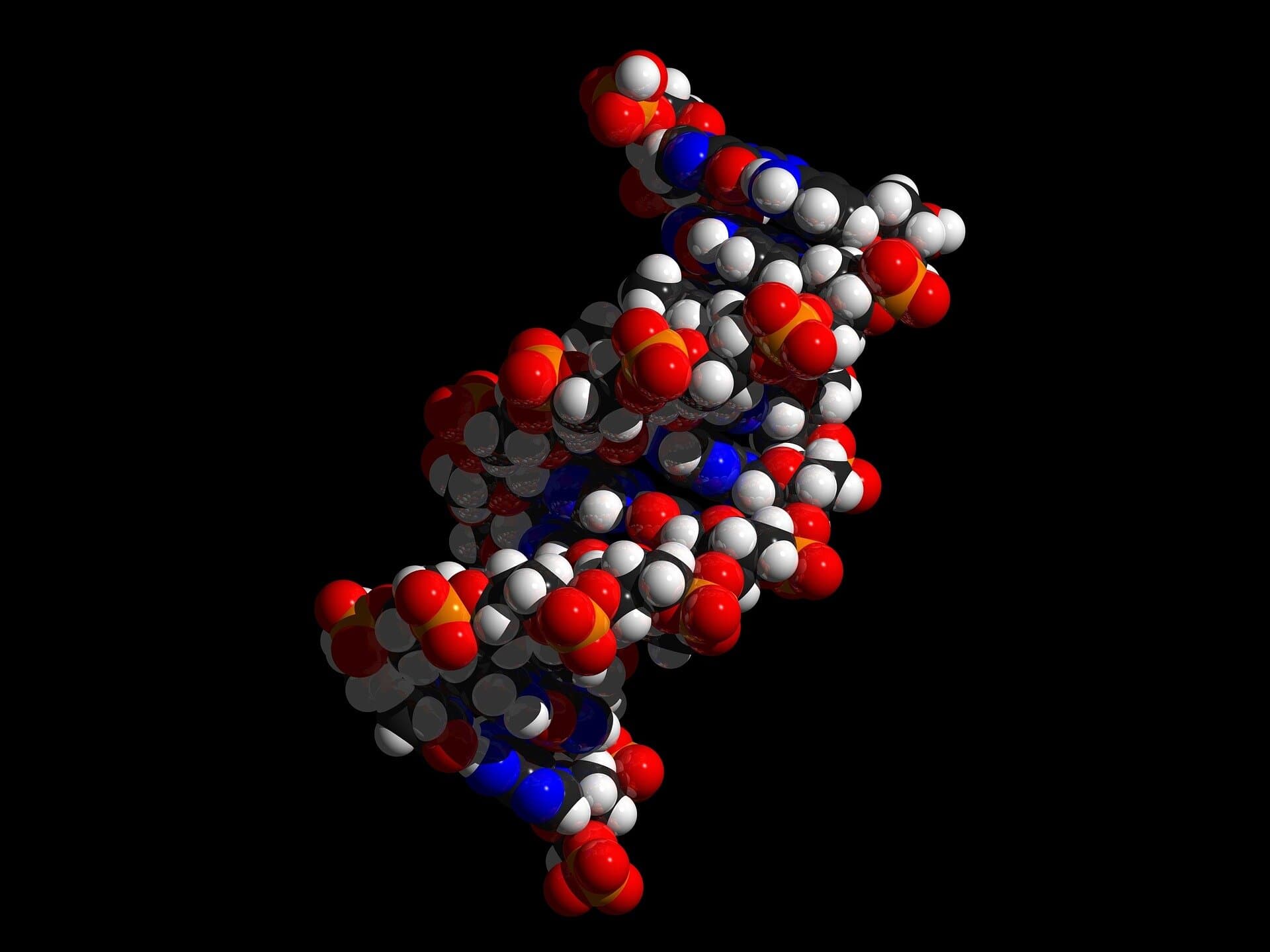 Northwestern scientists reveal overlooked DNA structures control genome organization