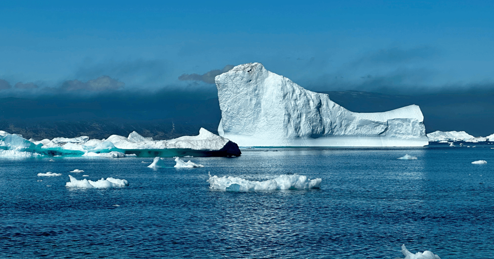 Scientists confirm mega-tsunami in Greenland triggered global seismic signals for nine days