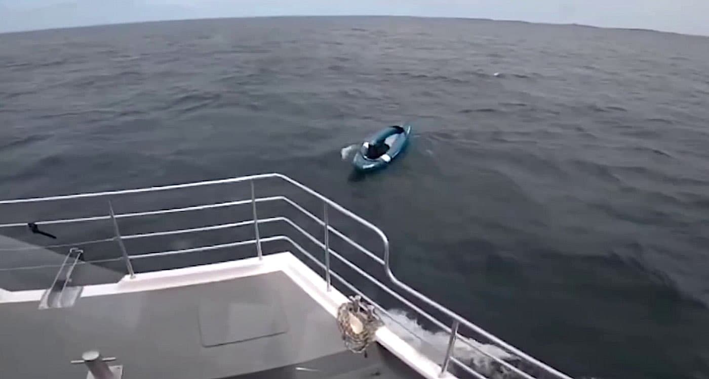 Dog rescued after drifting three miles out to sea in kayak