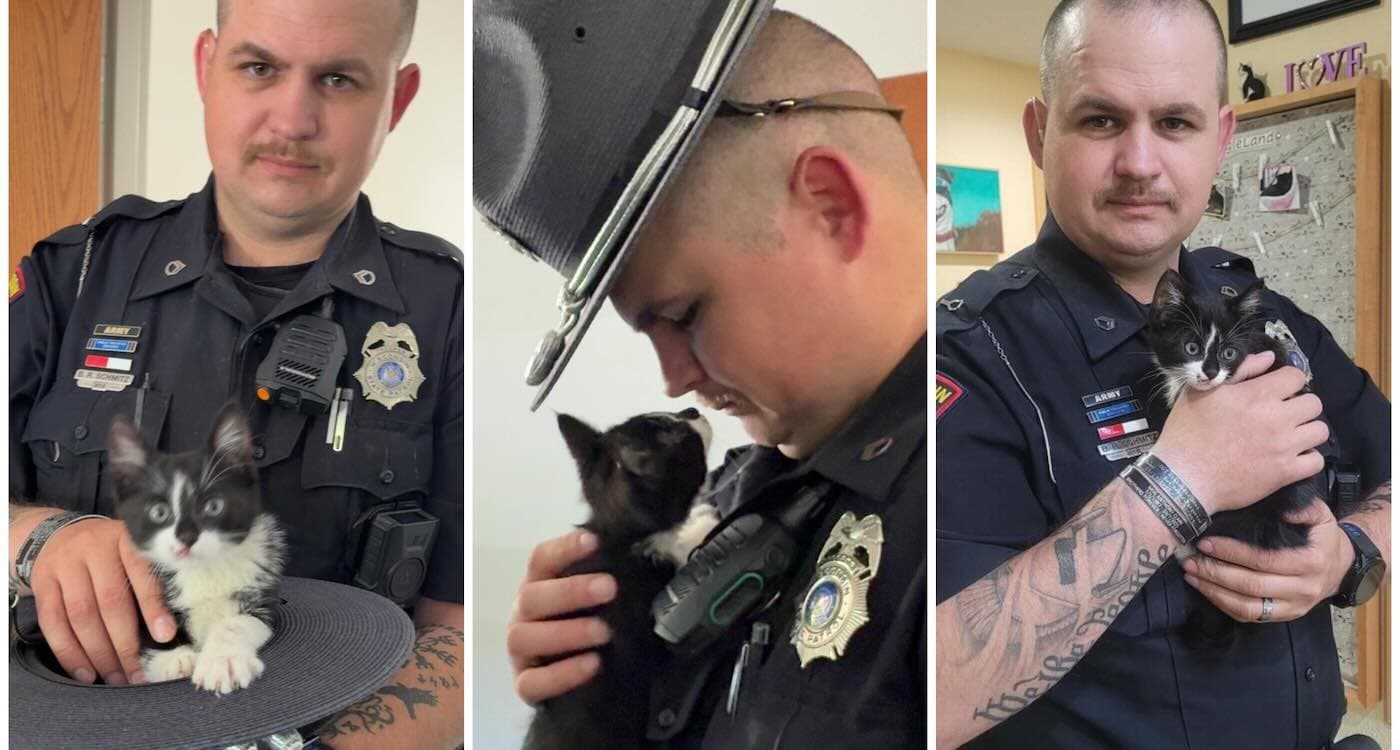 Wisconsin trooper adopts kitten thrown from moving vehicle on I-90