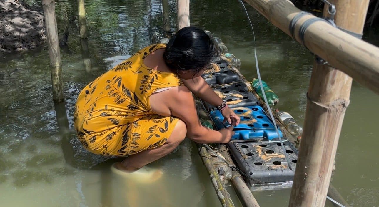 Philippine crab farmers adopt weather-resistant technology to boost yields