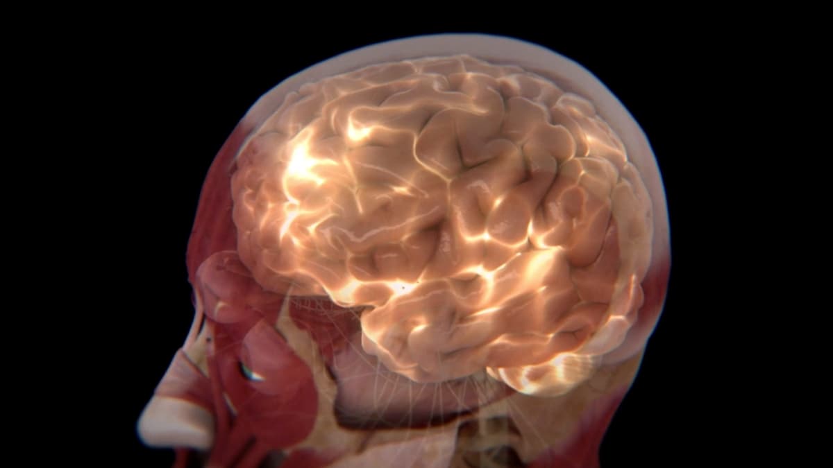 Scientists identify two distinct brain subtypes of autism