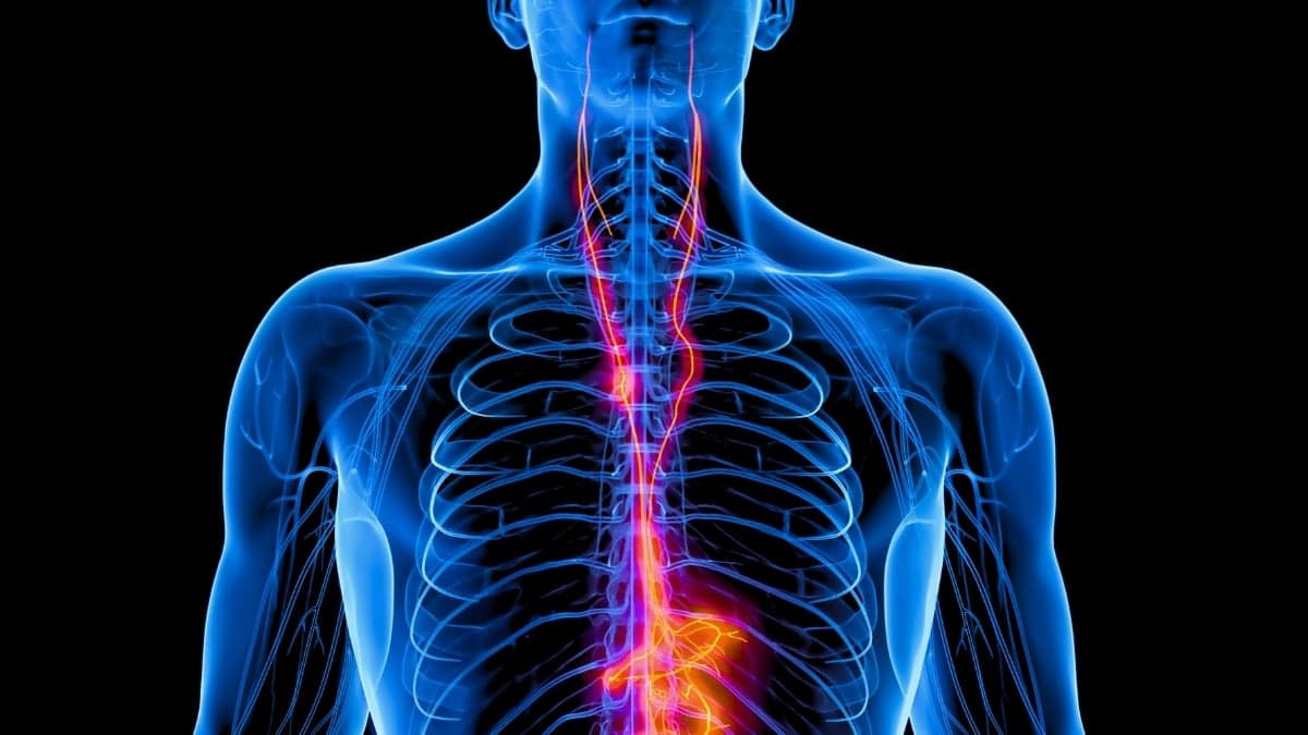 Vagus Nerve Stimulation Shows Significant Benefit for Treatment-Resistant Depression