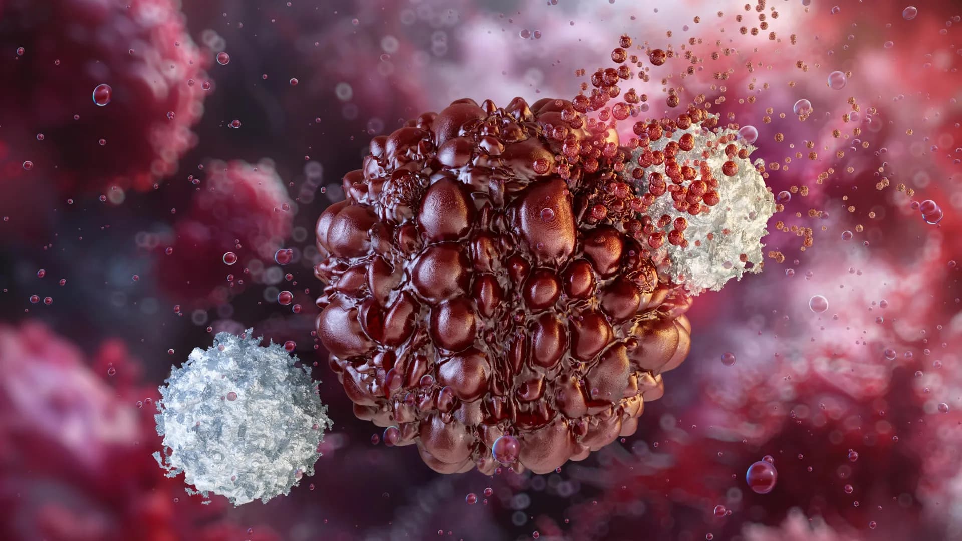 USC scientists develop renewable immune cells to advance cancer immunotherapy